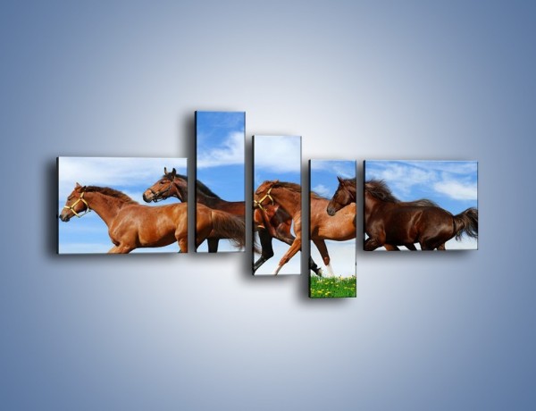 Obraz na płótnie – Galopujące stado brązowych koni – pięcioczęściowy Z172W5