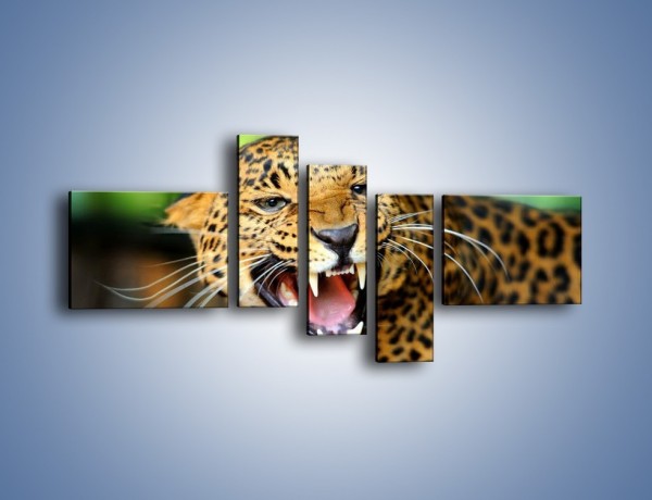 Obraz na płótnie – Jaguar z pazurem – pięcioczęściowy Z184W5