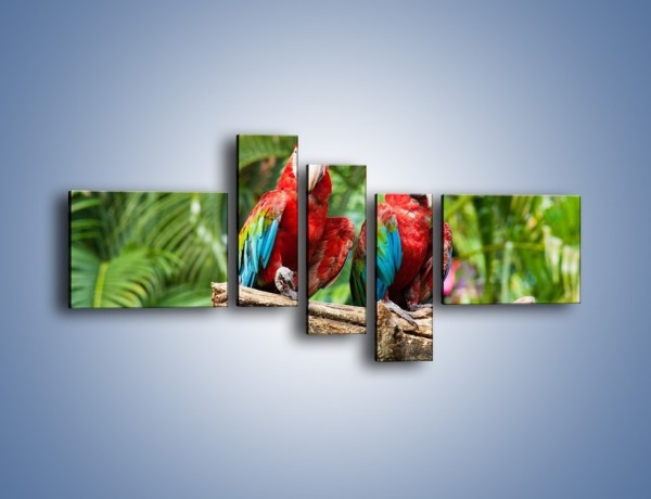 Obraz na płótnie – Papużki nierozłączki – pięcioczęściowy Z188W5