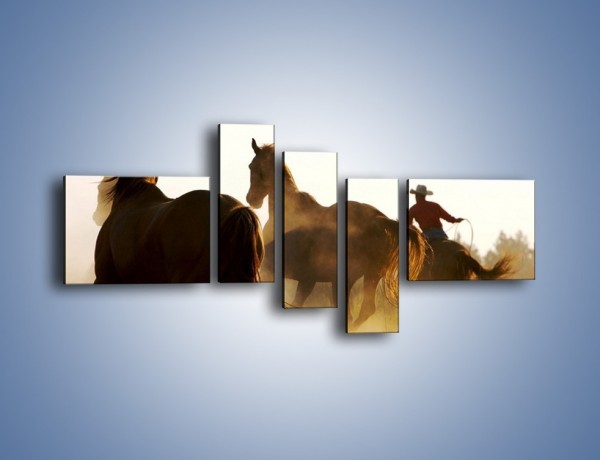 Obraz na płótnie – Cowboy wśród koni – pięcioczęściowy Z206W5