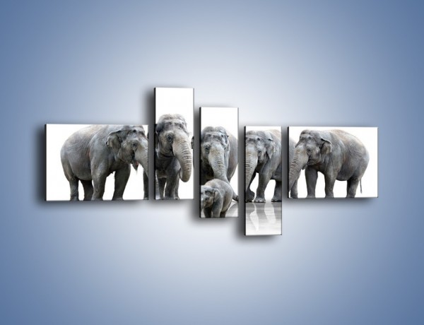 Obraz na płótnie – Na przyjęciu u słoniątka – pięcioczęściowy Z209W5