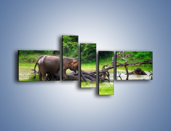 Obraz na płótnie – Kąpiel ze słoniem – pięcioczęściowy Z216W5