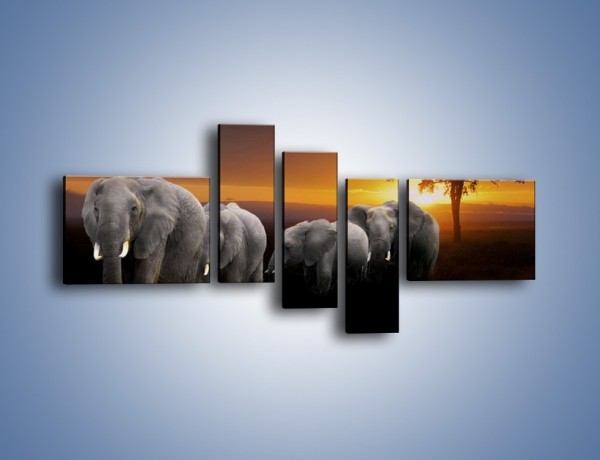 Obraz na płótnie – Powrót słoni do domu – pięcioczęściowy Z229W5