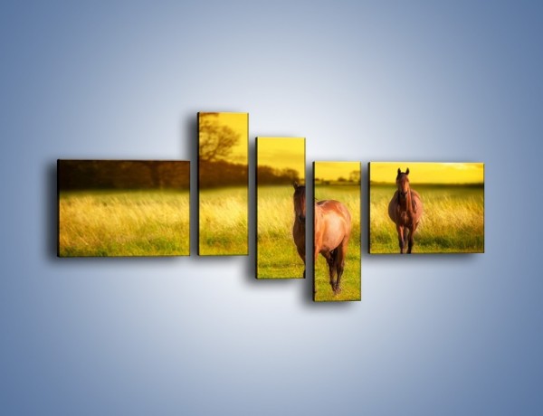 Obraz na płótnie – Polana i konie – pięcioczęściowy Z230W5