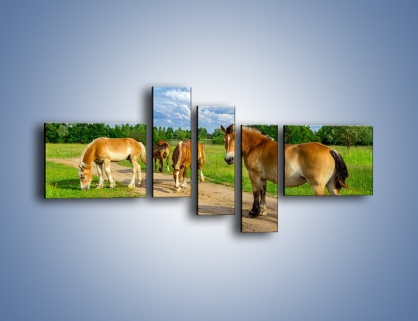Obraz na płótnie – Konie z gospodarstwa – pięcioczęściowy Z242W5