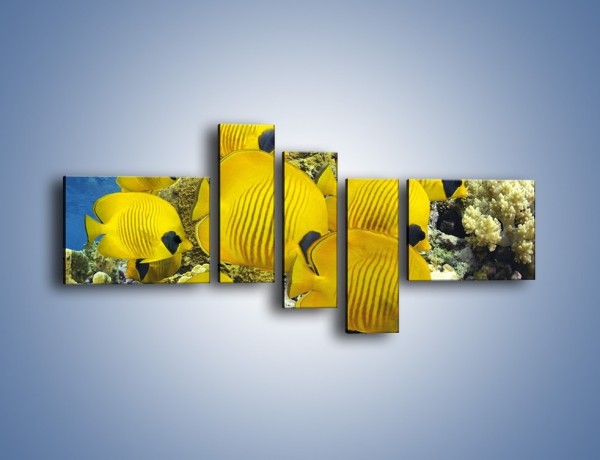 Obraz na płótnie – Słoneczne ryby w oceanie – pięcioczęściowy Z252W5