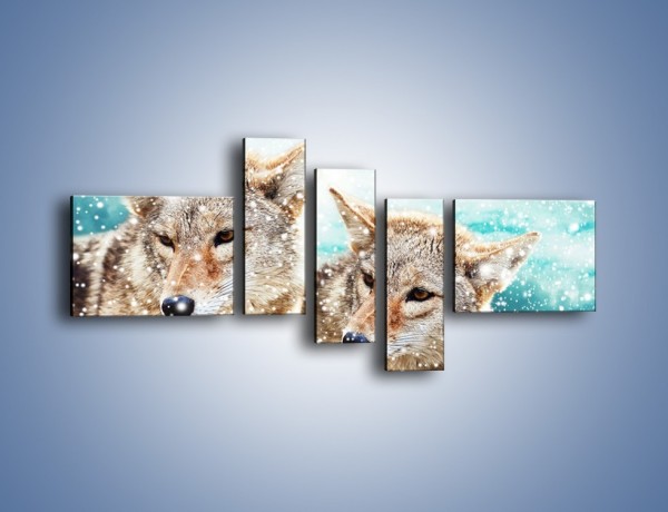 Obraz na płótnie – Zaciekawione wilki w płatkach śniegu – pięcioczęściowy Z257W5