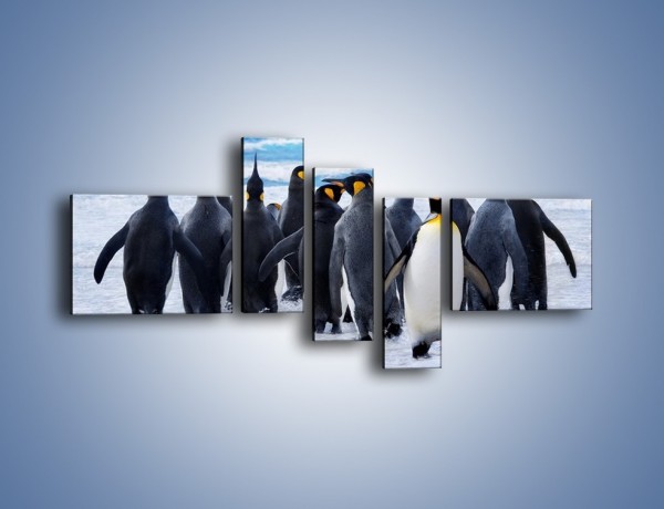 Obraz na płótnie – Narada pingwiniej rodziny – pięcioczęściowy Z272W5