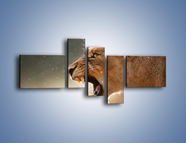 Obraz na płótnie – Ostrzeżenie lwiej samicy – pięcioczęściowy Z299W5