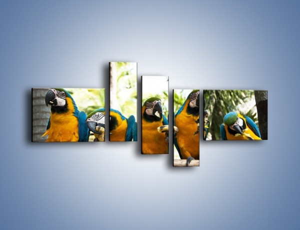 Obraz na płótnie – Piknik z papugami – pięcioczęściowy Z322W5
