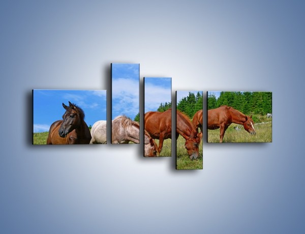 Obraz na płótnie – Spokój las i konie – pięcioczęściowy Z330W5