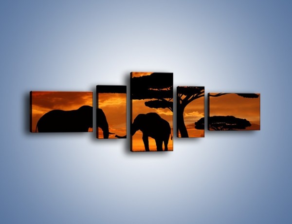 Obraz na płótnie – Słonie w nocnej porze – pięcioczęściowy GR284W6