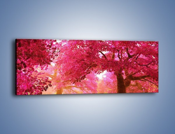 Obraz na płótnie – Sad wiśniowych drzew – jednoczęściowy panoramiczny KN235