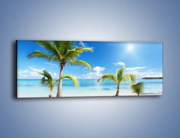 Obraz na płótnie – Palmy na pustej plaży – jednoczęściowy panoramiczny KN245