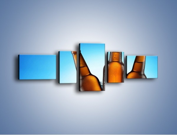 Obraz na płótnie – Szron na butelkach piwa – pięcioczęściowy JN075W6
