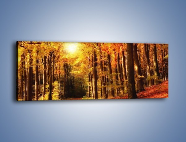 Obraz na płótnie – Lasem w stronę słońca – jednoczęściowy panoramiczny KN257