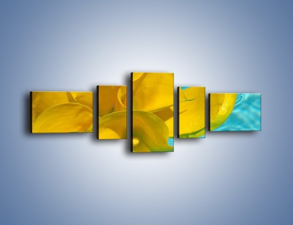 Obraz na płótnie – Żółte kalie na wodzie – pięcioczęściowy K082W6
