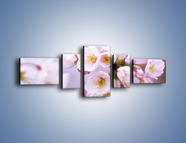 Obraz na płótnie – Gałązka kwiatów jabłoni – pięcioczęściowy K102W6