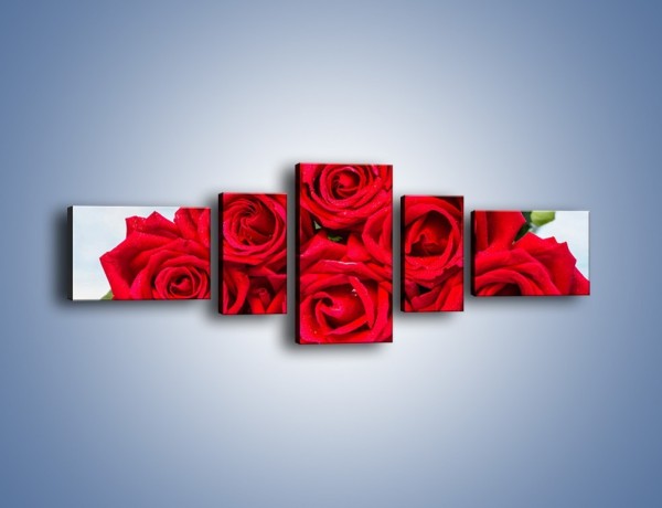 Obraz na płótnie – Czerwone róże bez kolców – pięcioczęściowy K1021W6