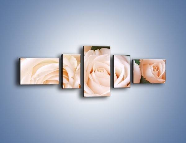 Obraz na płótnie – Liść wśród bezowych róż – pięcioczęściowy K104W6