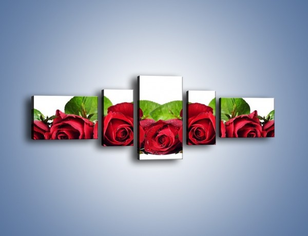Obraz na płótnie – Pięknie ułożone róże – pięcioczęściowy K108W6