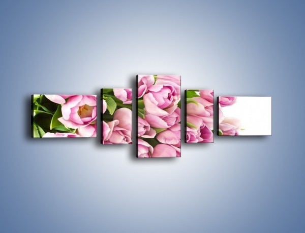 Obraz na płótnie – Ścięte tulipany w bieli – pięcioczęściowy K110W6