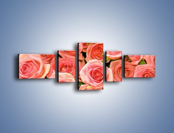 Obraz na płótnie – Łososiowe głowy róż – pięcioczęściowy K116W6