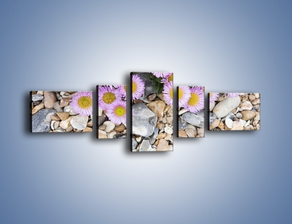 Obraz na płótnie – Kolorowe kamienie czy małe kwiatuszki – pięcioczęściowy K146W6