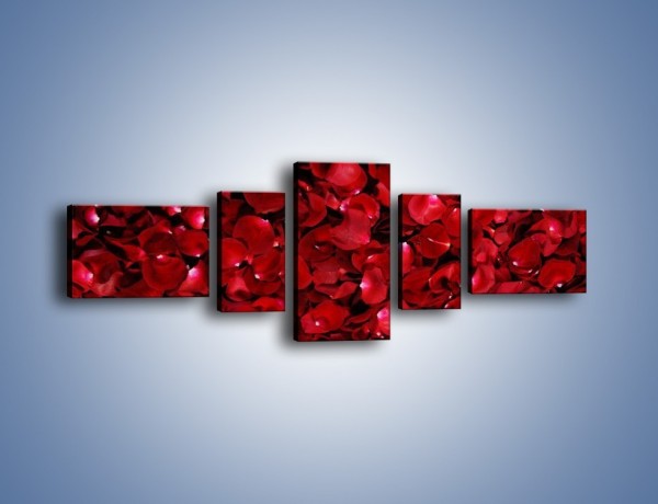 Obraz na płótnie – Dywan usłany płatkami róż – pięcioczęściowy K175W6