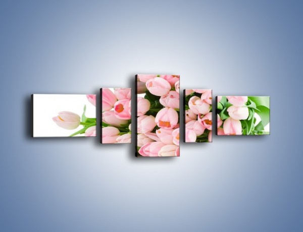 Obraz na płótnie – Wiosna w tulipanach – pięcioczęściowy K182W6