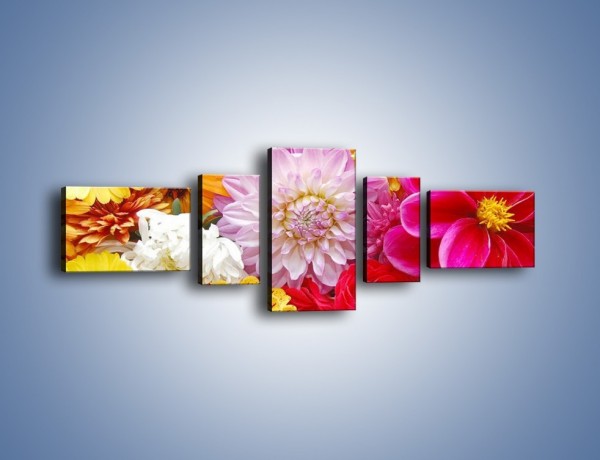 Obraz na płótnie – Letnie kwiaty z działki – pięcioczęściowy K198W6