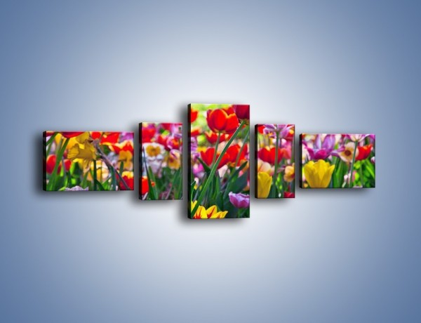 Obraz na płótnie – Odpoczynek wśród tulipanów – pięcioczęściowy K218W6