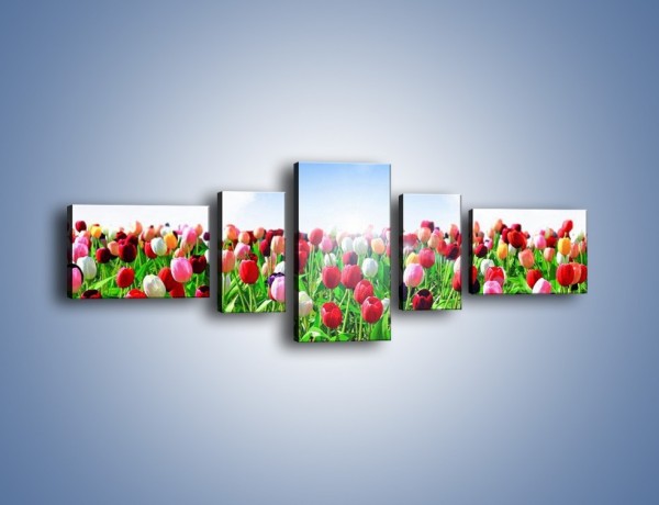 Obraz na płótnie – Droga do nieba z tulipanami – pięcioczęściowy K219W6