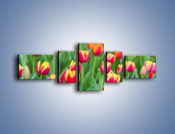 Obraz na płótnie – Spacer wśród czerwonych tulipanów – pięcioczęściowy K231W6