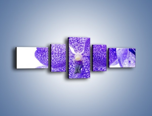 Obraz na płótnie – Jasny fiolet rządzi w kwiatach – pięcioczęściowy K259W6