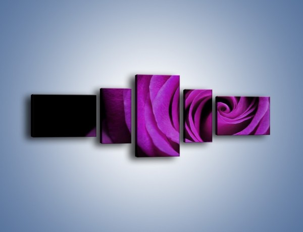Obraz na płótnie – Tajemniczy różany fiolet – pięcioczęściowy K313W6