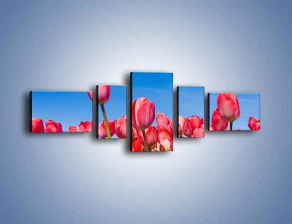Obraz na płótnie – Tulipany czerwone jak nigdy – pięcioczęściowy K345W6