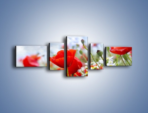 Obraz na płótnie – Polana pełna kwiatów – pięcioczęściowy K371W6
