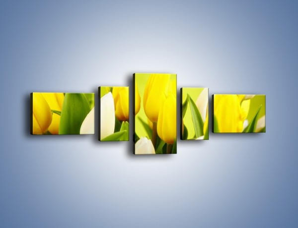 Obraz na płótnie – Nie tylko tulipany – pięcioczęściowy K425W6