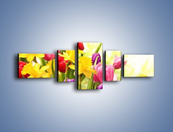 Obraz na płótnie – Żonkile wśród tulipanów – pięcioczęściowy K430W6