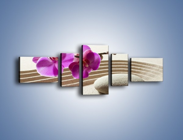 Obraz na płótnie – Kwiat i pustynia – pięcioczęściowy K434W6
