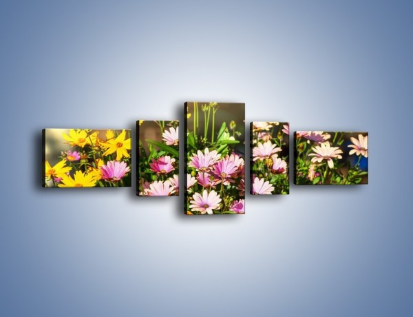 Obraz na płótnie – Polne kwiaty z uśmiechem – pięcioczęściowy K456W6