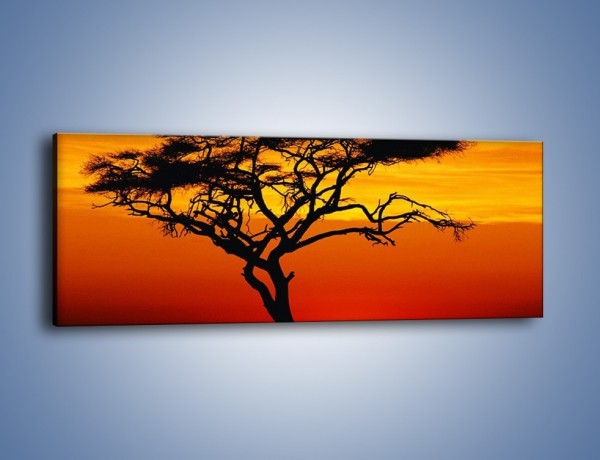 Obraz na płótnie – Zachód słońca i drzewo – jednoczęściowy panoramiczny KN307