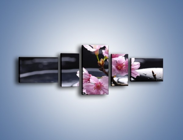 Obraz na płótnie – Gałązka kwiatowa na kamieniach – pięcioczęściowy K524W6