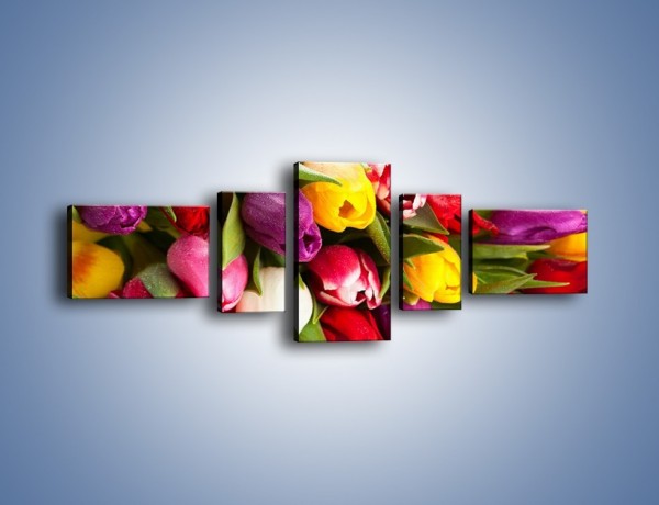 Obraz na płótnie – Spokój i luz zachowany w tulipanach – pięcioczęściowy K538W6