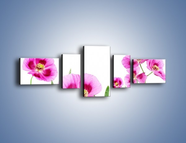 Obraz na płótnie – Maki w kolorze fioletu – pięcioczęściowy K571W6
