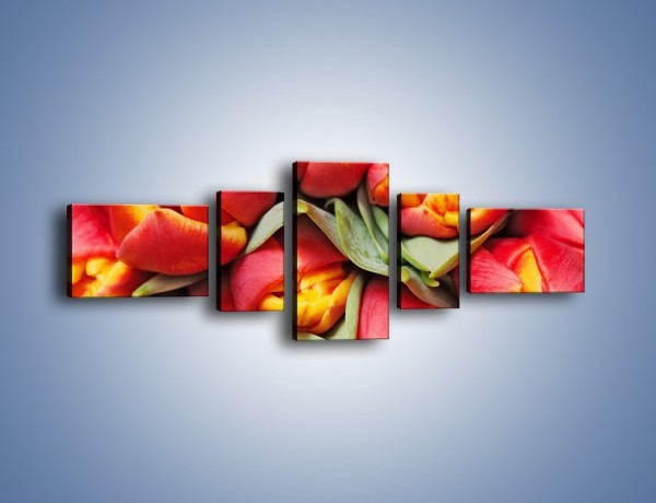 Obraz na płótnie – Tulipany papuzie – pięcioczęściowy K573W6