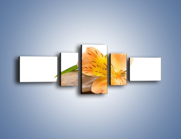 Obraz na płótnie – Kwiat jak mango – pięcioczęściowy K631W6