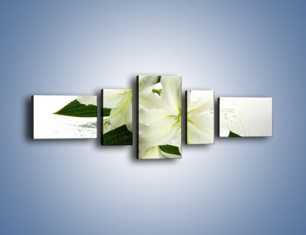 Obraz na płótnie – Niewinność białej lilii – pięcioczęściowy K632W6