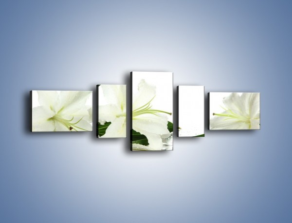 Obraz na płótnie – Czysta biel kwiatów – pięcioczęściowy K633W6